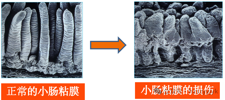 b1e74c816688430af5a3fd27b3a66efe.png
