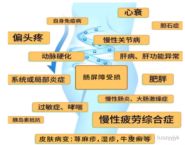 c108366549ff4696a9a214d7288c8818.png