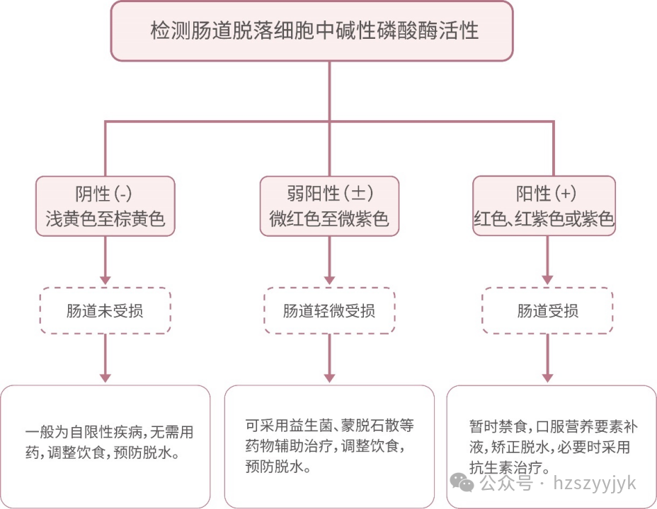 782d46af449130ada8b8763714d0808f.png