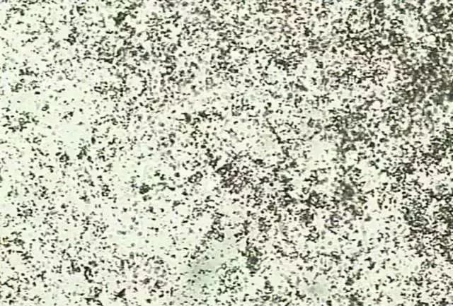 133ae41a9133b34ab99a5216026178c4.jpg